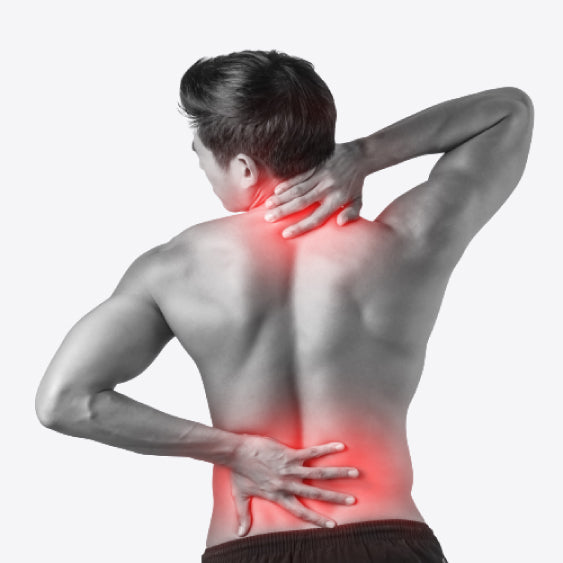 muguras sāpes starp lāpstiņām stājas korektors